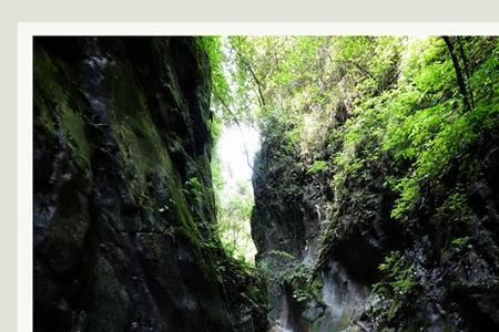襄阳鱼泉河风景区门票