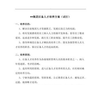 后备方案什么意思