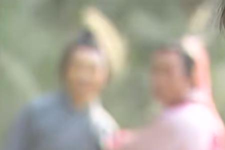 少年包青天雁不归森林是哪一集