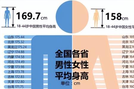 山东男子平均身高