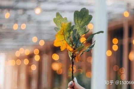 一始而终什么意思