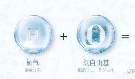 含有氢分子是什么意思
