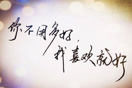 你喜欢什么的意思