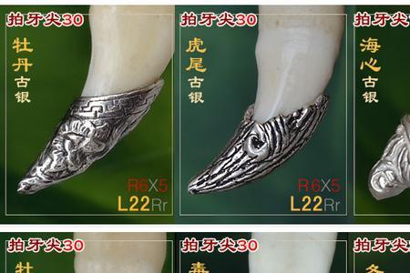 藏獒牙最长多长