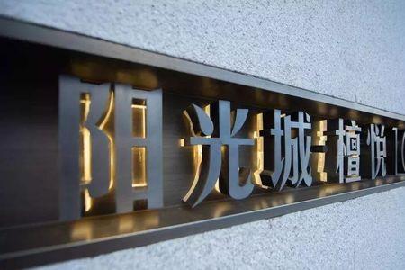 郑州阳光城是哪个公司开发的