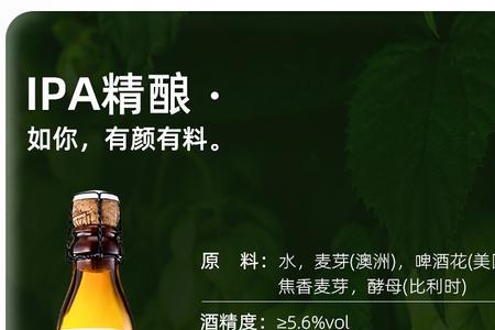 辛巴赫啤酒哪款好喝