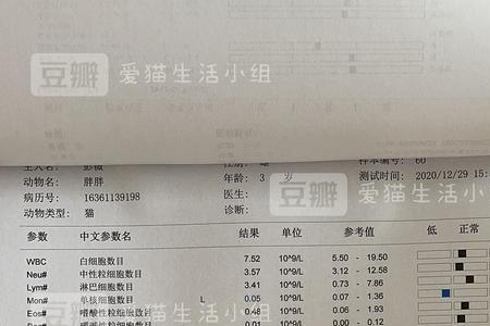 猫咪二氧化碳偏高是肝脏导致吗