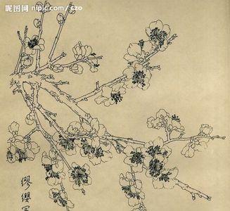 白丽娟有几画