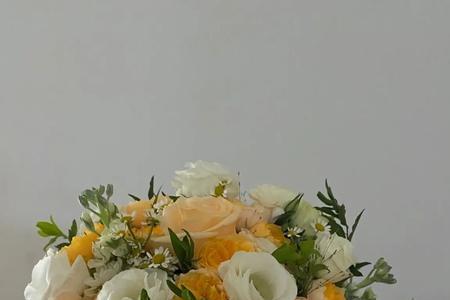理想主义的花出自哪里