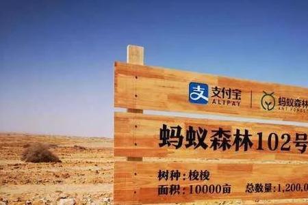 怎样去掉蚂蚁森林的树