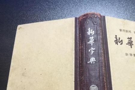 紫字在新华字典的页码是多少页