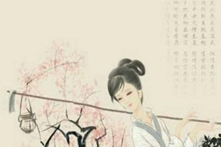 葬花吟里的侬是什么意思