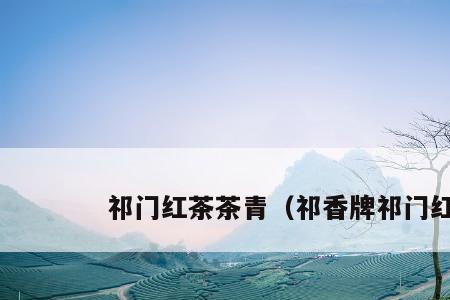 茶青等级多少算好