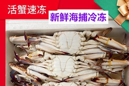 活的梭子蟹鱼缸里面怎么养