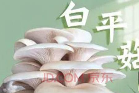 平菇菌包蒸多久才可以出锅