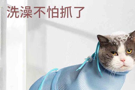 猫包买来需要清洗吗