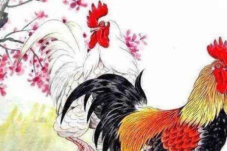 不如发愤是什么生肖