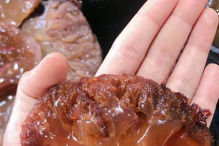 什么海鲜两个触角