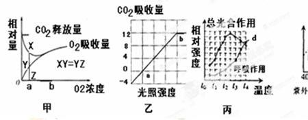 光饱和点越高越好吗