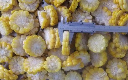 苞米冷冻的正确方法