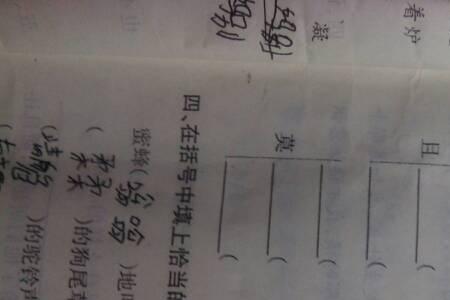 夋还可以用什么偏旁组词
