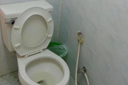 火碱能除马桶里尿碱不