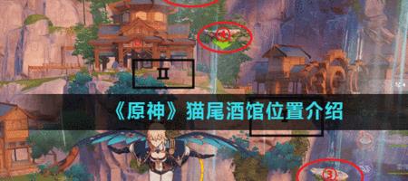 原神31猫叫什么名字