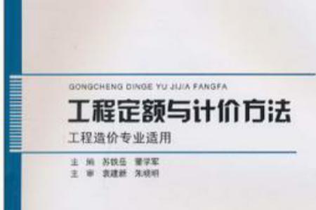 定额法只能计入费用吗