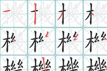 模型的笔顺怎么写