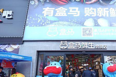 盒小马与盒马鲜生一样吗