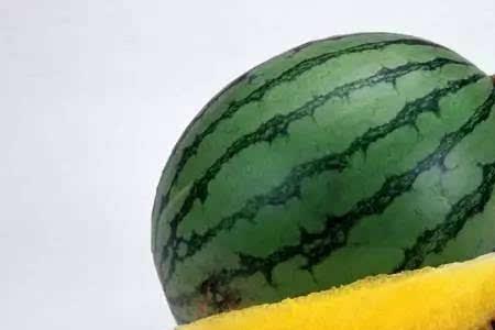 5月的西瓜是啥品种