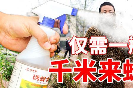 黄脚诱蜂水最正宗的配方