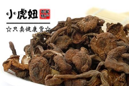 榛蘑跟蘑菇的区别