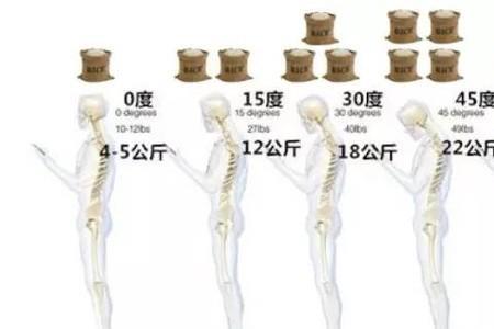 人类头颅平均高度