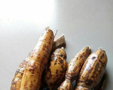 牛大力泡酒能泡多少回
