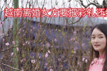 越南老婆没离婚跑了怎么办