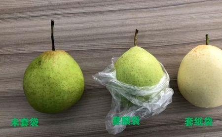 代森锰锌黄粉绿粉的区别