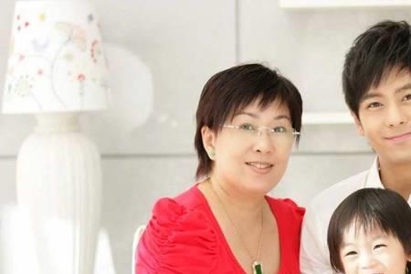 林志颖的婚姻