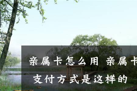 亲属卡一次可以支付多少