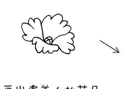 学画画的几种散笔