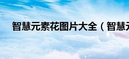 有智慧是什么意思