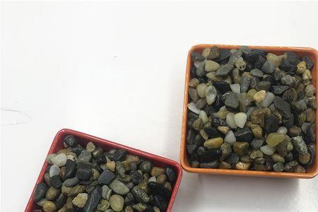 鱼缸铺面需要几种