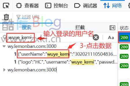 如何查看网页调用的接口