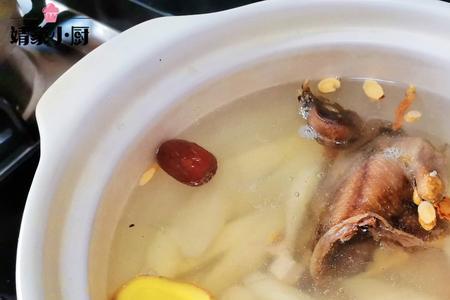 鸽子汤一次可以炖几只鸽子
