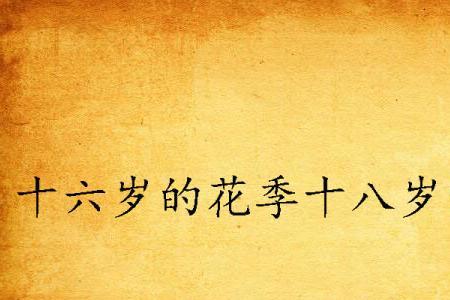 十八岁的雨季演员表