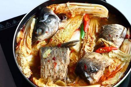 鱼的肉料比是多少
