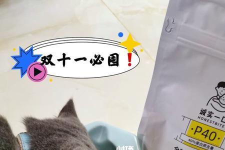 诚实一口p40猫粮怎么样