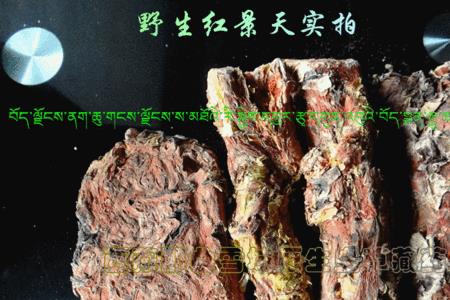 大花红景天好还是小花红景天好
