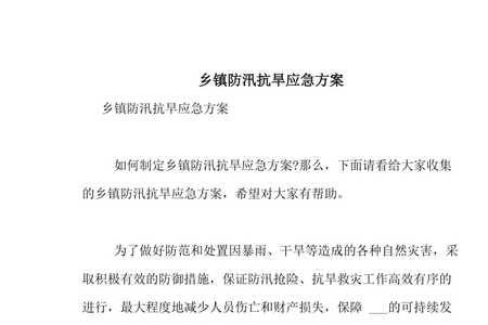 乡镇防汛四级响应方案