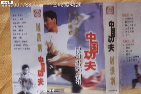 功夫依然要转身粤语是什么歌